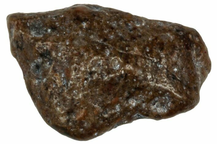Lunar Meteorite ( g) - NWA #303746